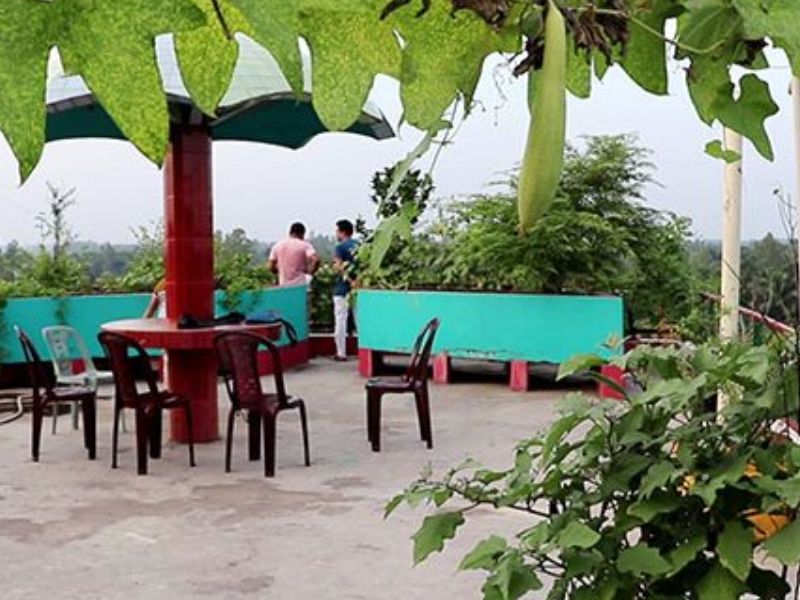 ছাদবাগানই ঢাকার তাপমাত্রা কমাবে