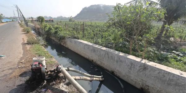 নালার পানিতে শাকসবজির চাষ, কী খাচ্ছে নগরবাসী