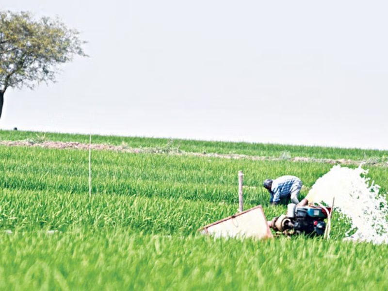 কৃষকদের জন্য স্মার্ট কার্ড বিতরণের উদ্যোগ