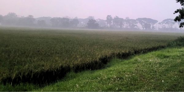 এমন আবহাওয়া আগে দেখেনি ময়মনসিংহের মানুষ