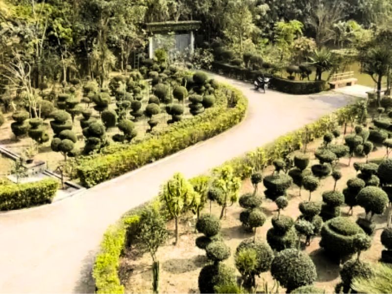 ঝিনাইদহে পাঁচ শত প্রজাতির ১০ হাজার গাছ নিয়ে গড়ে উঠেছে ’গাছ বাড়ি’