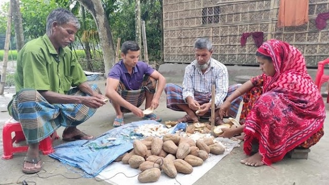 কীটনাশকের পরিবর্তে মেহগনির তেল, বেশ সুফল পাচ্ছেন কৃষক