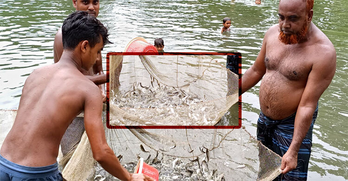 মাছ চাষে কোটিপতি রশিদ