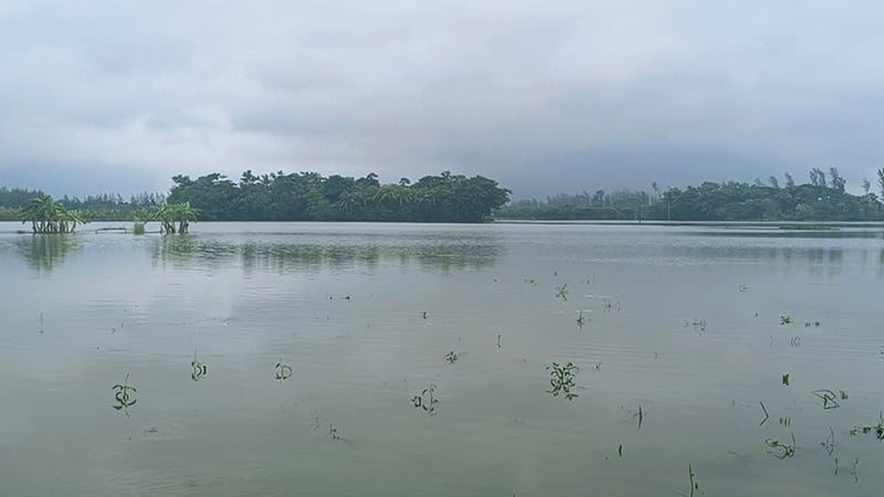 বৃষ্টিতে ২১ জেলার ৭২ হাজার হেক্টর জমির ফসল তলিয়ে গেছে