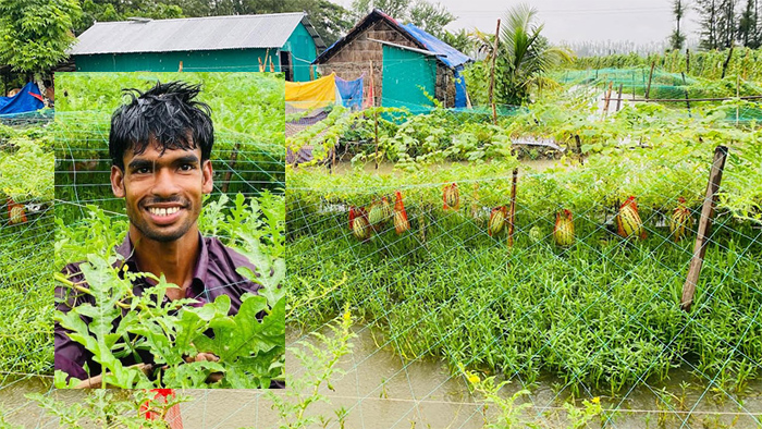 বর্ষাকালে তরমুজ চাষে বাম্পার ফলন, সফল আবুল বাসার 