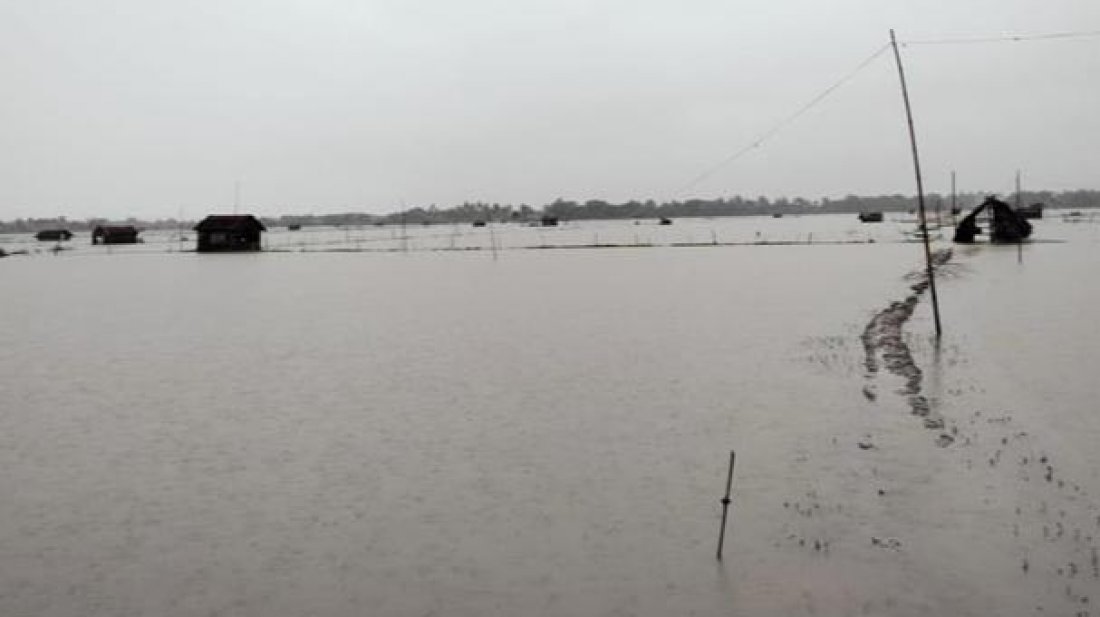 ভারী বর্ষণ, খুলনায় ১১০০ হেক্টর জমির ধান ও সবজিক্ষেত ক্ষতিগ্রস্ত