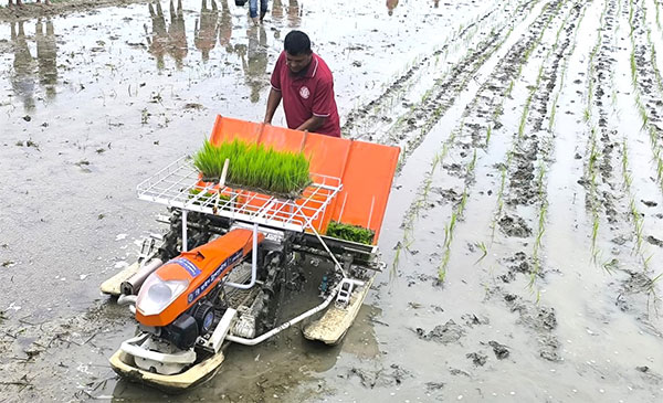 ধান রোপণে বিপ্লব আনছে ব্রি’র যন্ত্র