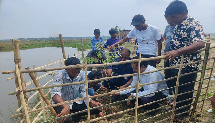 পরিবেশ ও জীববৈচিত্র্য রক্ষায় সাপাহারে জবই বিলপাড়ে বৃক্ষরোপণ