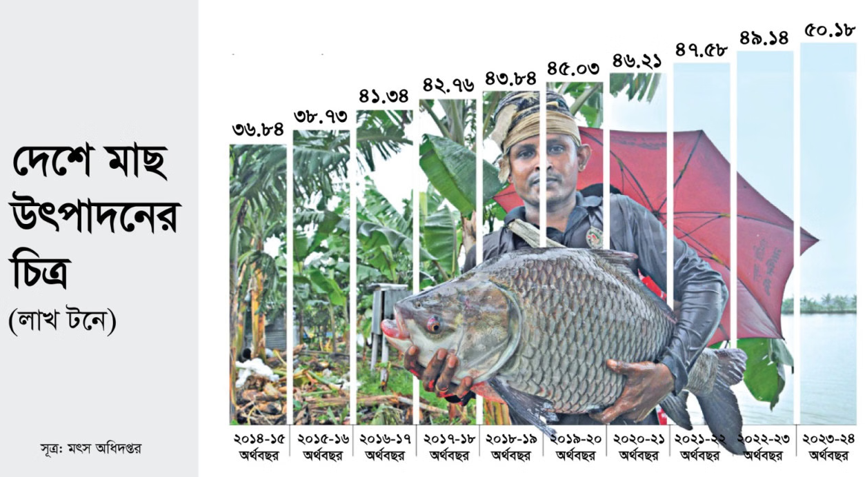 রাসায়নিকমুক্ত মাছ উৎপাদনে মৎস্য নীতি পুনর্গঠন করতে যাচ্ছে সরকার