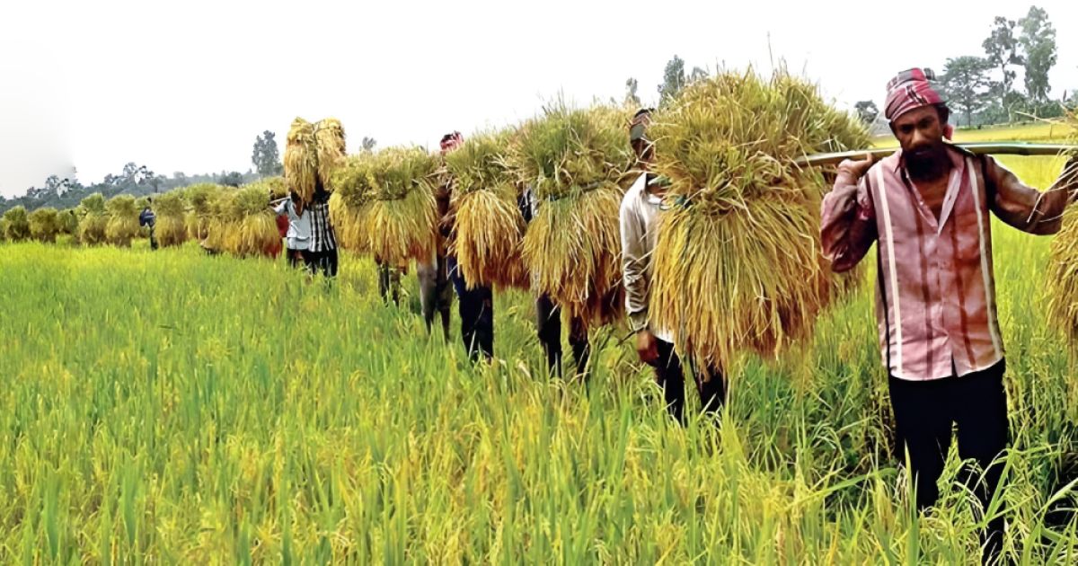 কৃষিক্ষেত্রে সংস্কার ভাবনা