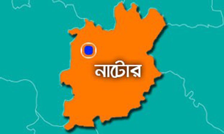 নাটোরে ৫ কোটি ১১ লাখ টাকার কৃষি প্রণোদনা প্রদান 