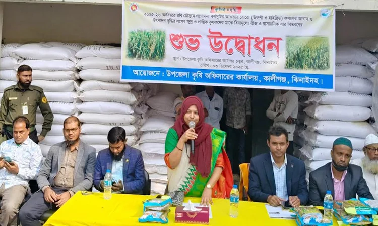 কালীগঞ্জে বিনামূল্যে সার ও বীজ পেলেন দেড় হাজার কৃষক
