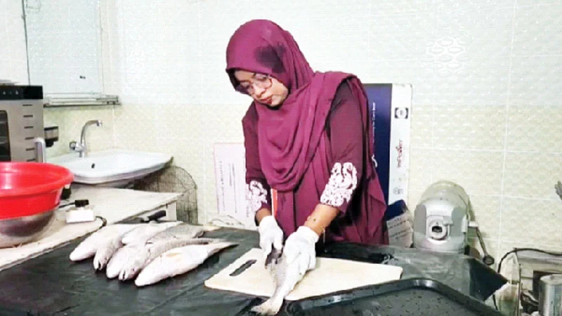 কক্সবাজারে সামুদ্রিক মাছের চিপস