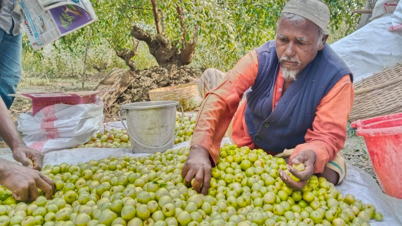 বদলে যাচ্ছে সাতক্ষীরার কৃষি চিত্র