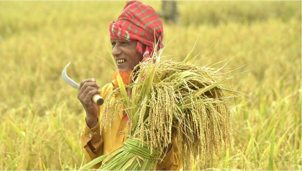 যান্ত্রিকীকরণে বড় হচ্ছে কৃষি-অর্থনীতি
