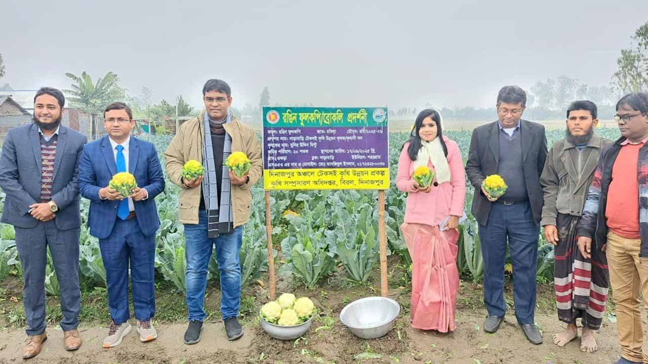 ফুলকপির প্রদর্শনী প্লট পরিদর্শন করলেন যুগ্ম-সচিব