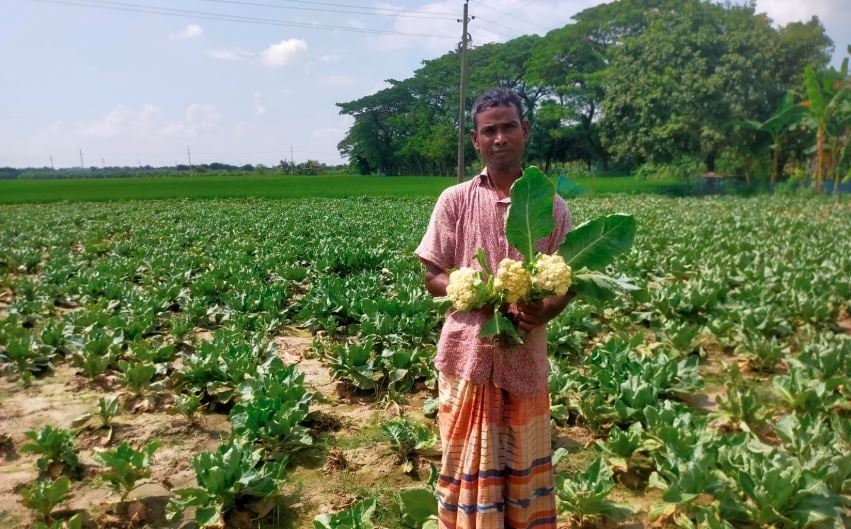 রাজশাহীর চরাঞ্চলের কৃষি বাণিজ্যিকভাবে সাফল্য বয়ে আনছে 