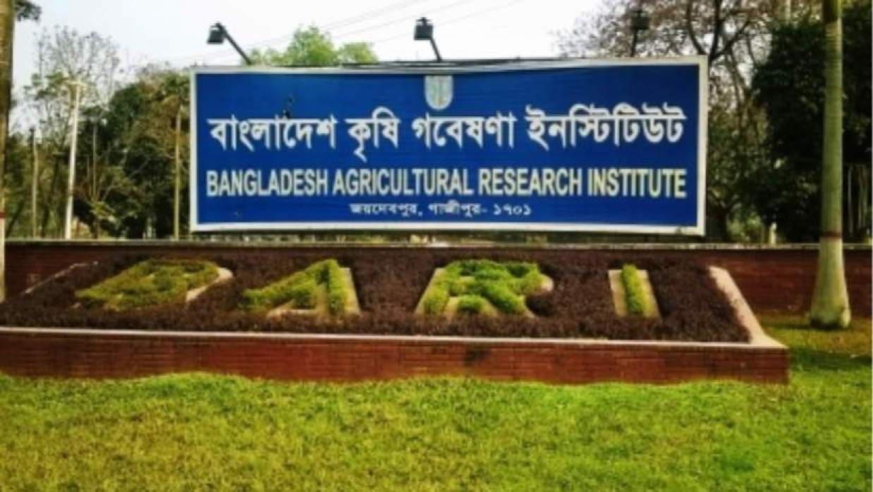কৃষি গবেষণা ইনস্টিটিউটে বড় নিয়োগ