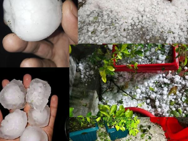 হঠাৎ ঝড়, শিলাবৃষ্টি: নীলফামারীতে ফসলের ব্যাপক ক্ষতি