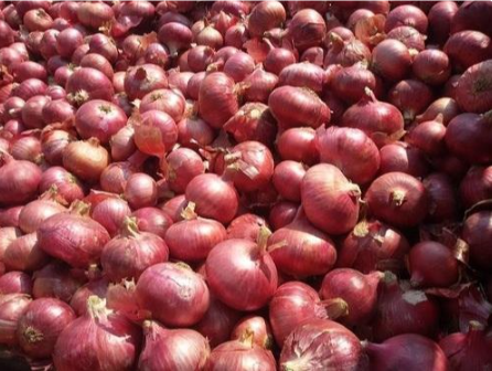পেঁয়াজ, চালে অস্বস্তি কাটেনি