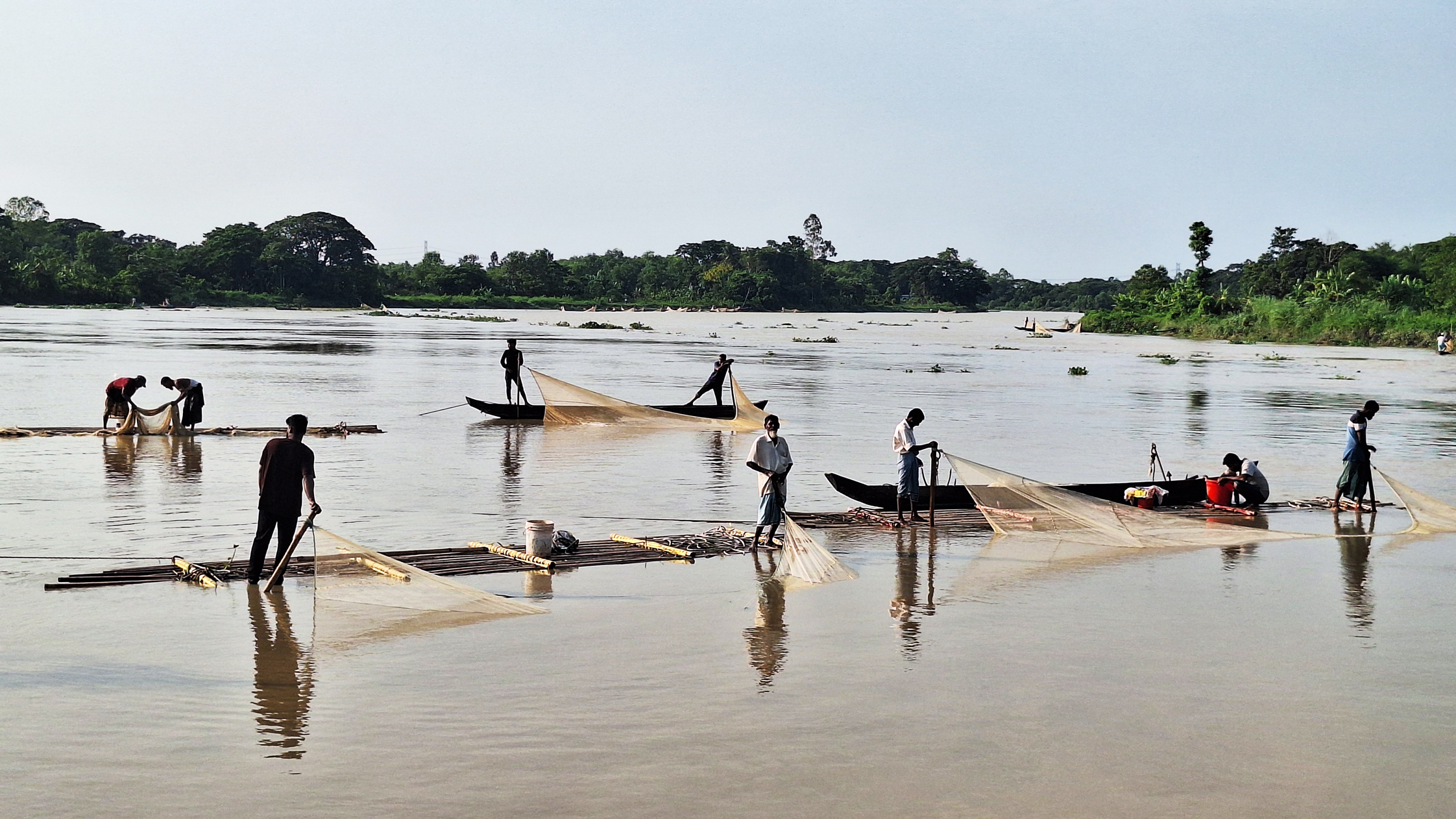 হালদার একটি মা মাছ থেকে বার্ষিক আয় ৪ কোটি টাকা!
