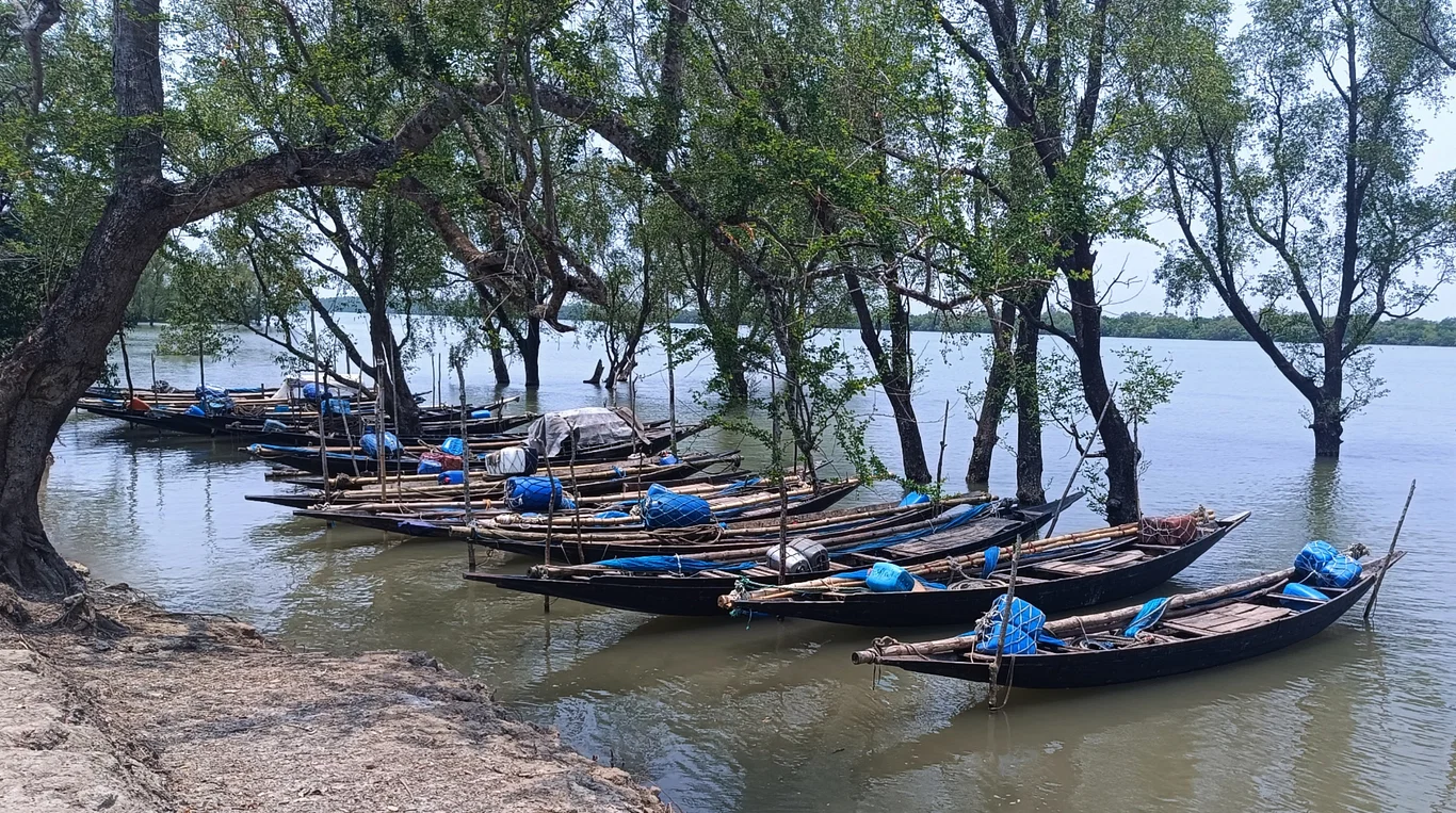 তিন মাস পর দুয়ার খুলছে সুন্দরবন