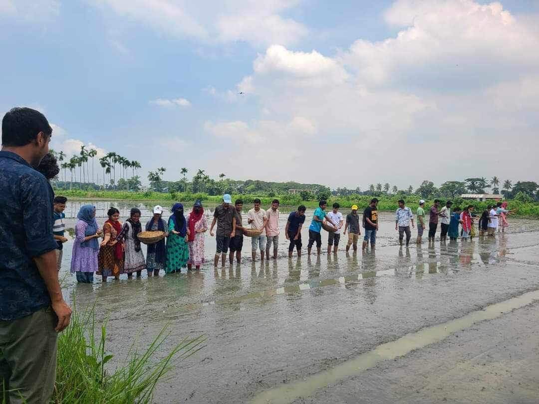 'লেইট আমন' প্রজেক্ট এর মাঠ পর্যায়ের কাজ শুরু