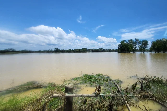 ঘুরে দাঁড়াতে চান ফেনীর সব হারানো কৃষকেরা