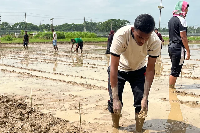 বন্যার্তদের জন্য ধানের চারা, সবজির বীজ ও মাছের পোনা তৈরি করছেন শিক্ষার্থীরা