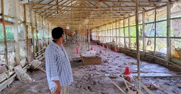 পানিতে ভেসে গেছে সব স্বপ্ন 