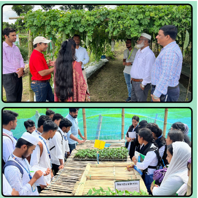 ফরিদপুরে জলবায়ু সহিষ্ণু কৃষি প্রযুক্তি প্রদর্শন