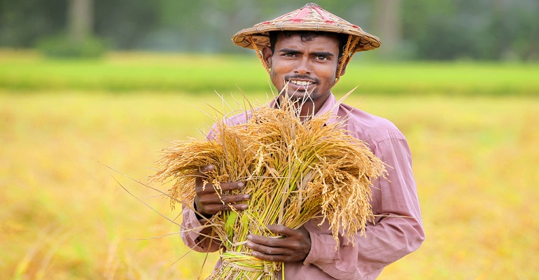 নাটোরে কৃষি প্রণোদনা পাচ্ছেন হাজার কৃষক