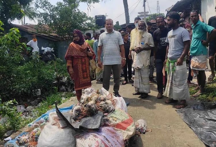 নাটোরে ২৫ হাজার মিটার অবৈধ কারেন্ট জাল জব্দ