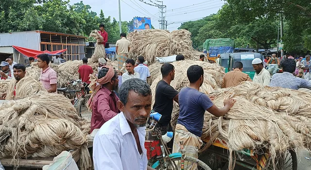 সাঁথিয়ায় উৎপাদন কম হলেও পাটের দামে খুশি কৃষক