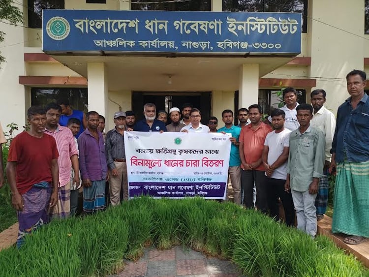 হবিগঞ্জে বন্যাকবলিত কৃষকদের মাঝে ধানের চারা ও সার বিতরণ