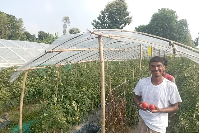 রাসায়নিক সার ও কীটনাশক ছাড়া সবজি চাষ