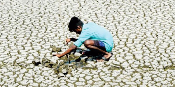 রংপুরে বৃষ্টির দেখা নেই, খরার ঝুঁকি
