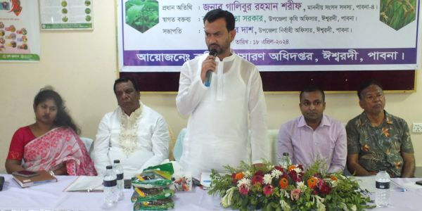 ঈশ্বরদীতে কৃষকদের বিনামূল্যে পাট-আউশ ধানের বীজ ও সার বিতরণ