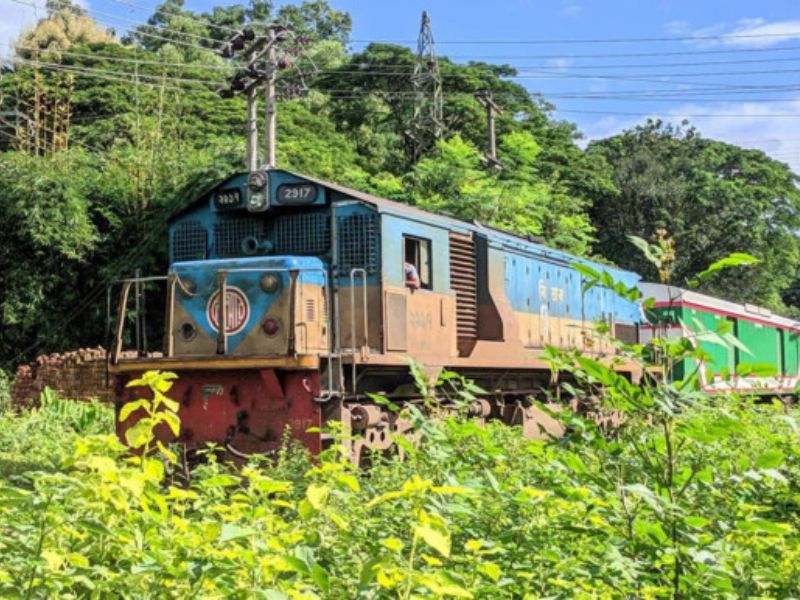 হাতির মৃত্যুর পর ট্রেনের গতি সীমিত