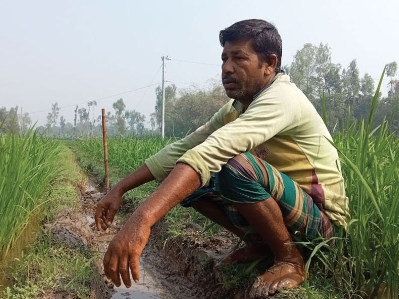 কীটনাশক সিন্ডিকেট: কৃষকদের জিম্মি করছে ব্যবসায়ীরা