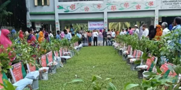 নাঙ্গুলী গ্রামে কৃষকদের জন্য উপকরণ বিতরণ