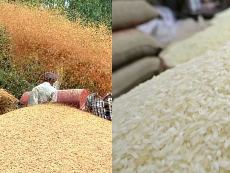 ৩৩ টাকা কেজিতে ধান ও ৪৭ টাকা কেজি দরে চাল কিনবে সরকার