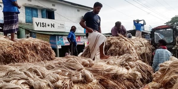 পাটচাষে লাভ কমছে: কৃষকের অভিযোগ!