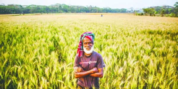 নাটোরে তরুণদের উদ্যোগে কৃষিতে নতুন দিগন্ত