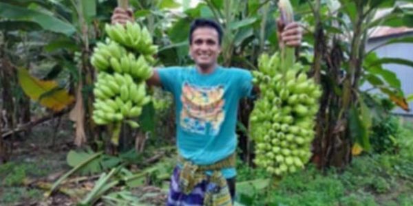 ‘স্মার্ট কৃষক’ হিসেবে পরিচিত ফেরদৌস মিয়া