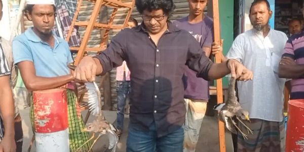 তাড়াশে অবাধে চলছে অতিথি পাখি শিকার ও বিক্রি