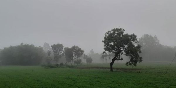 পঞ্চগড়ে শীতের আগমন: তাপমাত্রা ১৫.৬ ডিগ্রি