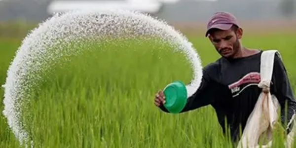 সার সংকটের আশঙ্কা নেই জানালেন কৃষি সচিব