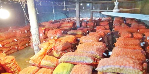 আলুর বাজারে অস্থিরতা, কৃষকরা দিশেহারা
