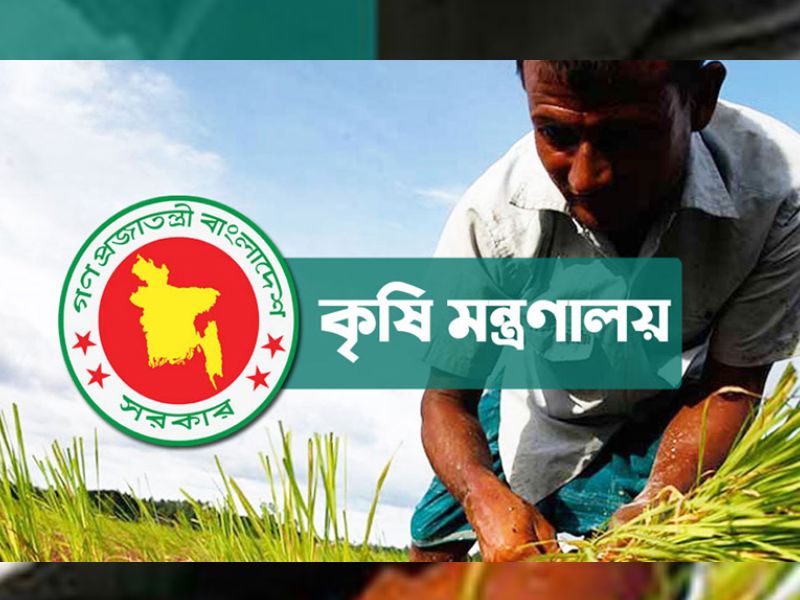 কৃষি খাতে এখনও বহাল স্বৈরাচারের দোসররা